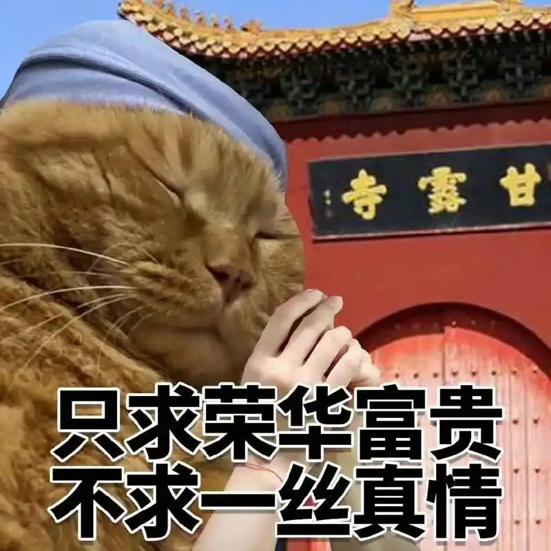 搞笑表情包# #表情包# 搞笑表情包分享,只求荣华富贵,不求一丝涨殚