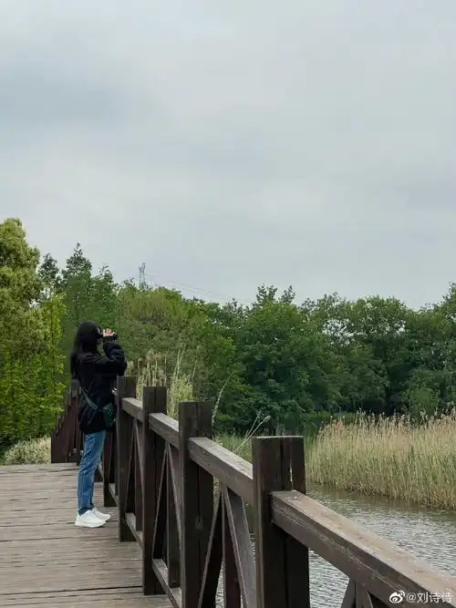 刘诗诗夕阳背影照##夕阳下的刘诗诗