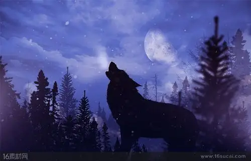 蓝色夜空中仰天长啸的狼高清图片
