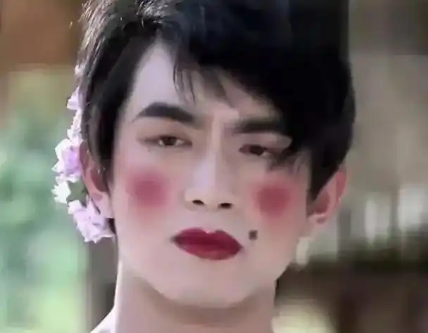 中的造型,以及黄晓明在《鹿鼎记》中的男扮女装,都让观众大呼辣眼睛