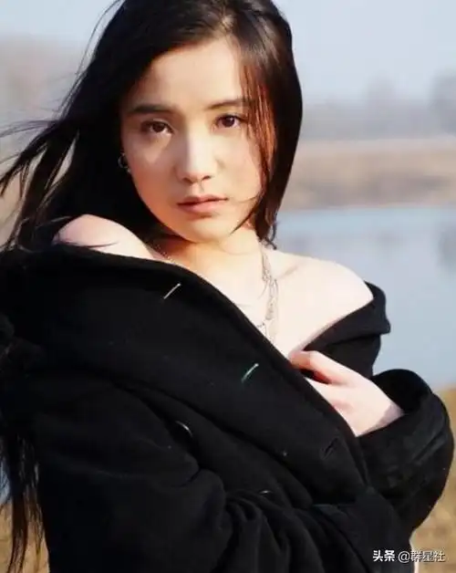 小宋佳样貌绝世,气质出众,略为年轻的