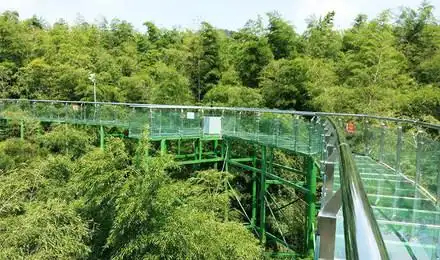 漫步云端 起舞竹尖 竹尖玻璃栈道电子门票