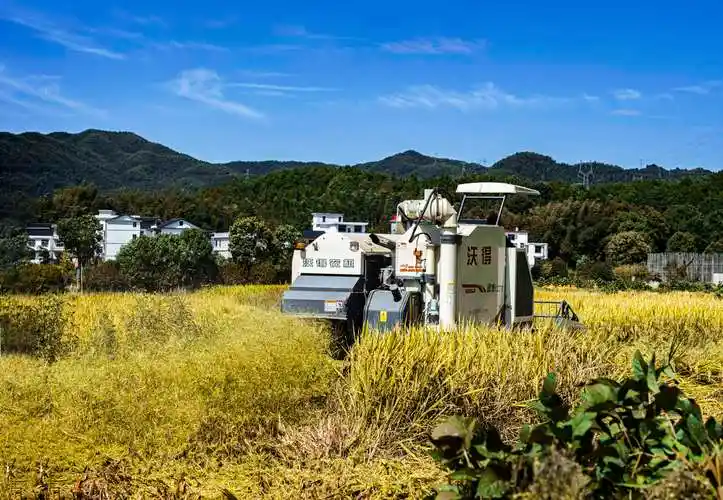 新农村,新风貌.