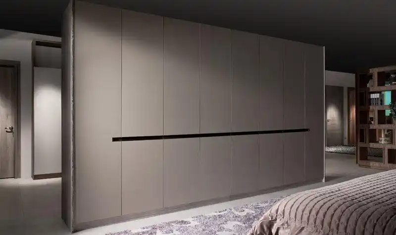 raysonic全屋定制效果图轻奢简约风衣柜门图片