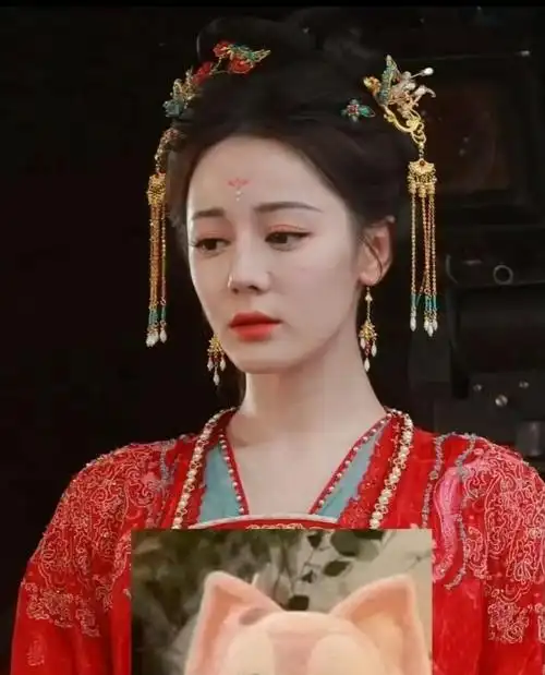 有网友说热巴的古装脸越来越恐怖,越来越像教导主任了!