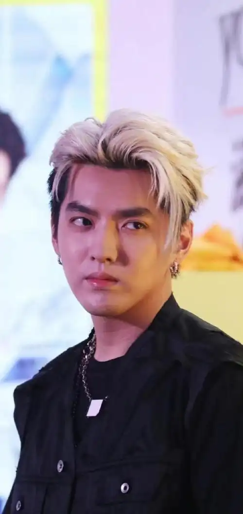 吴亦凡人设崩,先蹲个13年再驱逐出境?