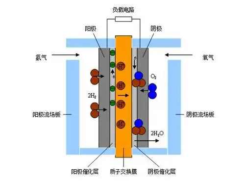 图1  某质子膜交换燃料电池结构示意图