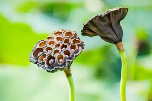 这份超详细的神仙摄影贴士,绝对是旅行必备!