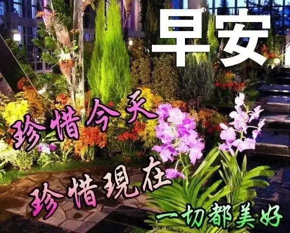盛夏早上好问候语简短祝福励志句子2021早上好祝福图片动态表情大全