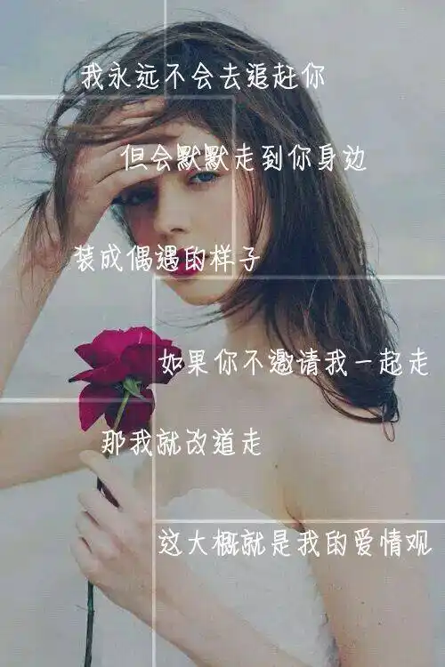 我永远不会去追赶你 伤感文字图片
