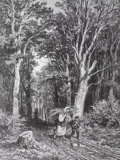 现实主义风景画奠基人希施金素描欣赏