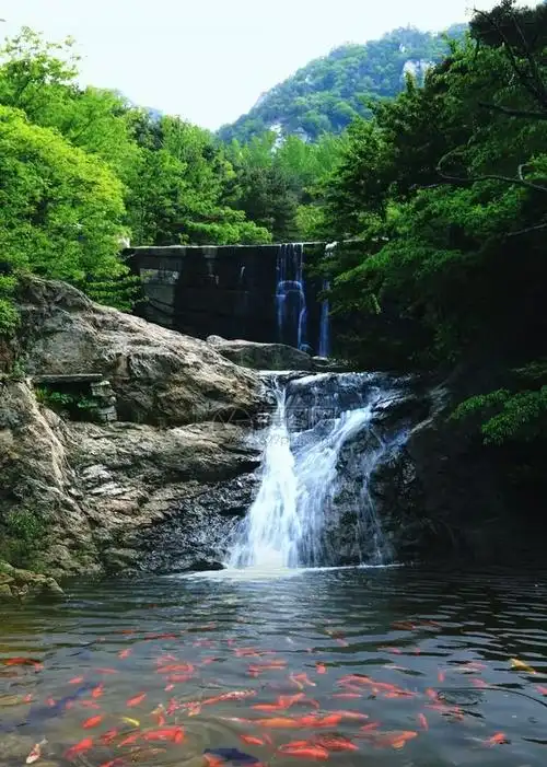 一起踏遍青山绿水图4