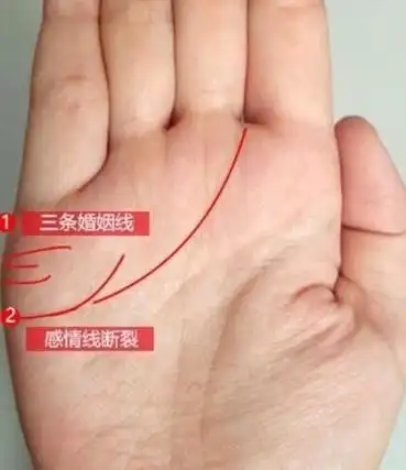 婚姻线看你有几次婚姻男人婚姻线断了代表什么
