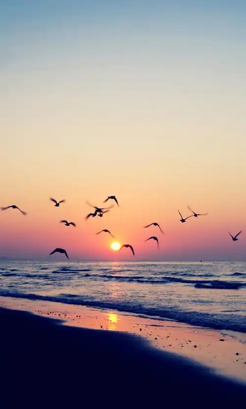 唯美意境,大海,唯美,黄昏,手机壁纸唯美大海黄昏