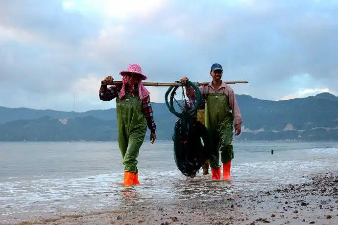 【转载】霞浦北兜晨曦中归来的捕鱼人