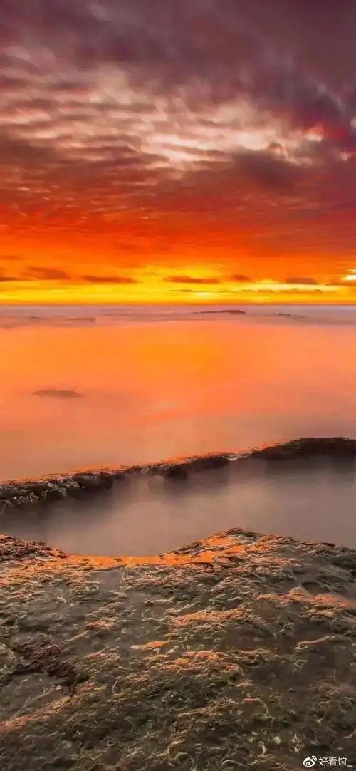 4k超高清竖屏|很火的潮图壁纸|高清1080p