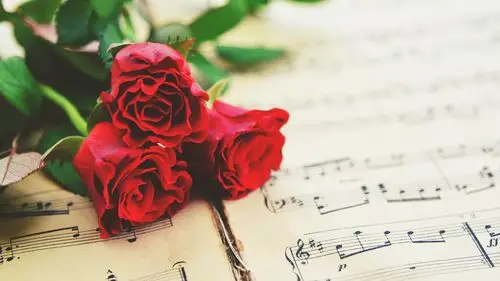 唯美浪漫玫瑰花主题电脑桌面壁纸