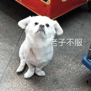 沙雕表情包l抖音最火斗图表情包