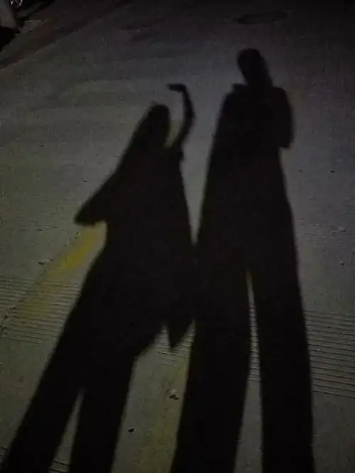 晚上吃过晚饭后,我们全家人都会出去散步,看,这是我和妈妈的影子合照