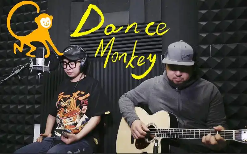 活动作品dancemonkey超强不插电翻唱dina白秋人