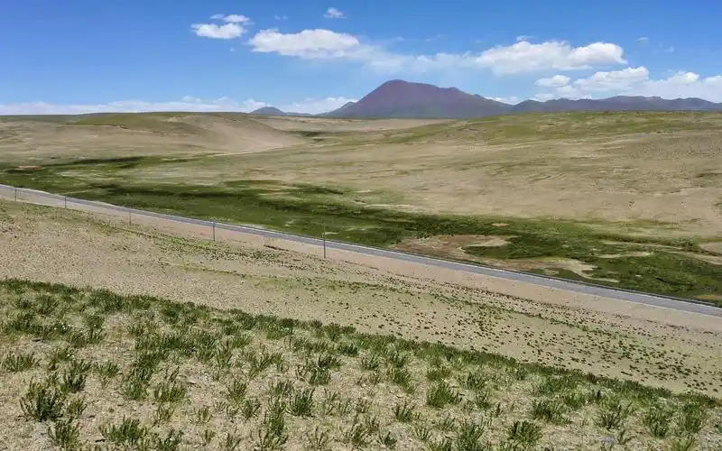 当高寒植物遇到温室效应 我国科学家找到植物适应环境变化的密码