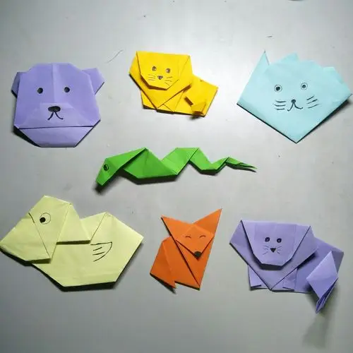 动物折纸  (小组作业)
