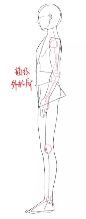 人体侧面体块关节处的素描关系有哪些?