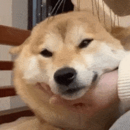 一生要强的大学生却败在了它手中