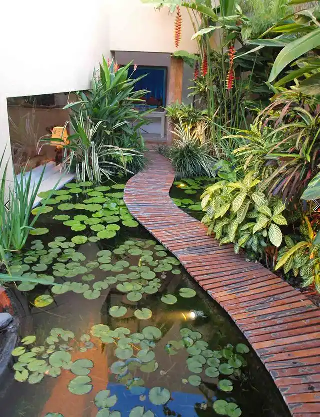 庭院合集:能养鱼的庭院才是有氛围的好庭院,鱼池花园才最美