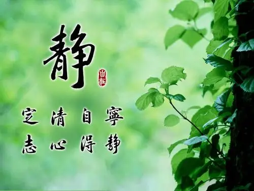 发现了这张靓图,恰巧了,表达的是【宁静 】意境.