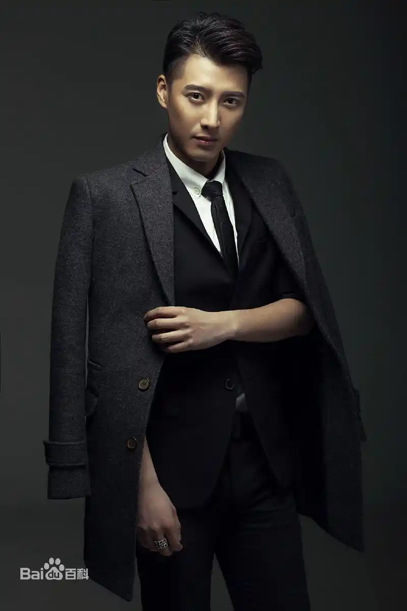 宇文邕是谁演的,宇文邕扮演者,独孤天下宇文邕