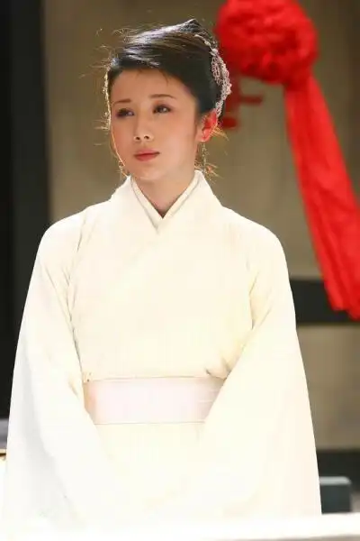 孔雀东南飞孙菲菲 饰 刘兰芝