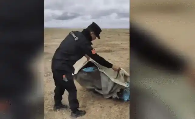 失联女孩遗骸仅存人骨 牧民:"那野狼很多,本地人都不敢去"