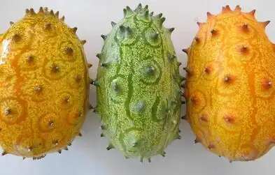 传说它是来自火星的奇特水果, 营养十分丰富#uc订阅号