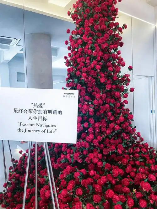 湖州探店rosemary