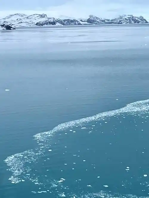 550_733竖版 竖屏