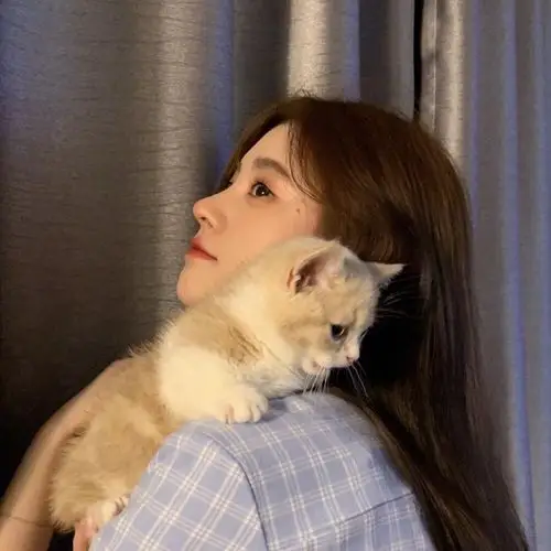 鞠婧祎头像(自截)