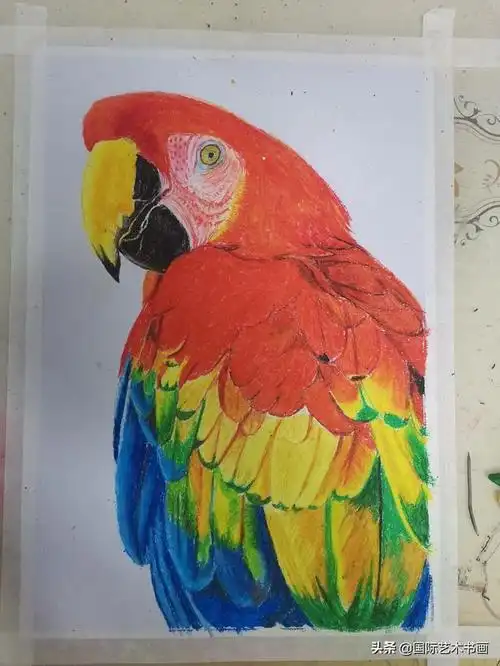 素描纸8k有多大,素描纸8k有多大等同于a(用简单的绘画工具也能画出