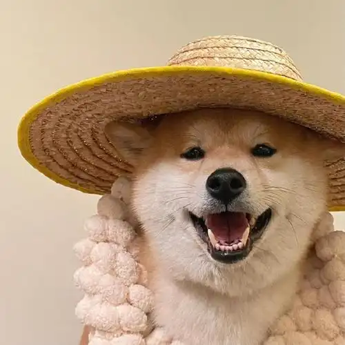 柴犬##狗狗头像##狗妈妈 纹身的纹身烫头的烫头