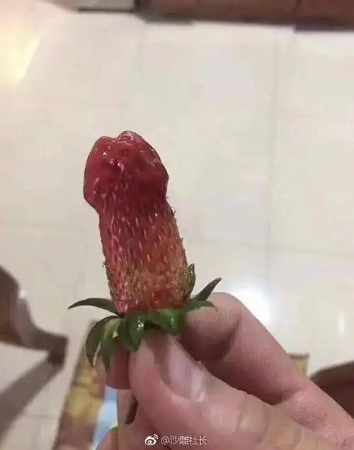 怕你们脑补不到 热心观众还勾勒出了剩余的部分 ▼ 长得是稍微内涵了