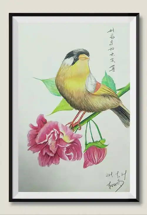 彩铅,简约装饰画作品集