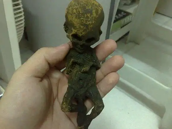 泰国鬼仔转让,招财运有缘人进~~