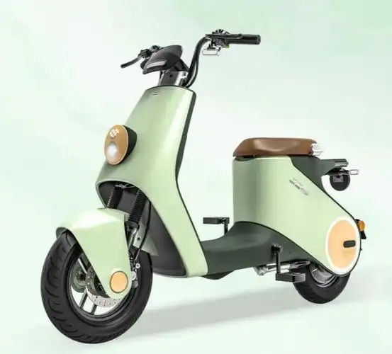 十大名牌电动车 前十名(电动车十大品牌榜单)插图8