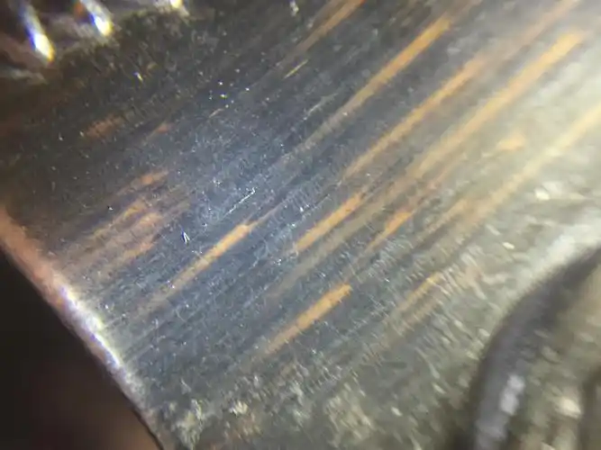 合成"犀角"鉴别