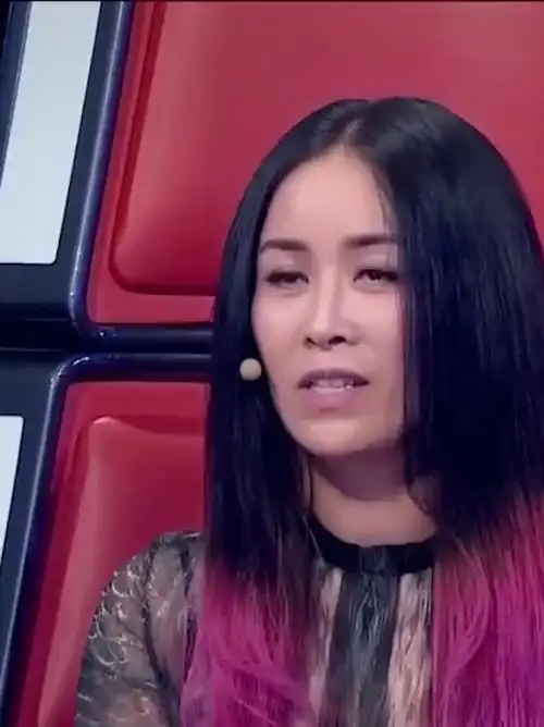 那英定居那英后,最让人心疼的不是刀郎,更不是周深