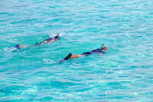 两个戴口罩和管子的人在海洋中同步游泳照片-正版商用图片02giso-摄图