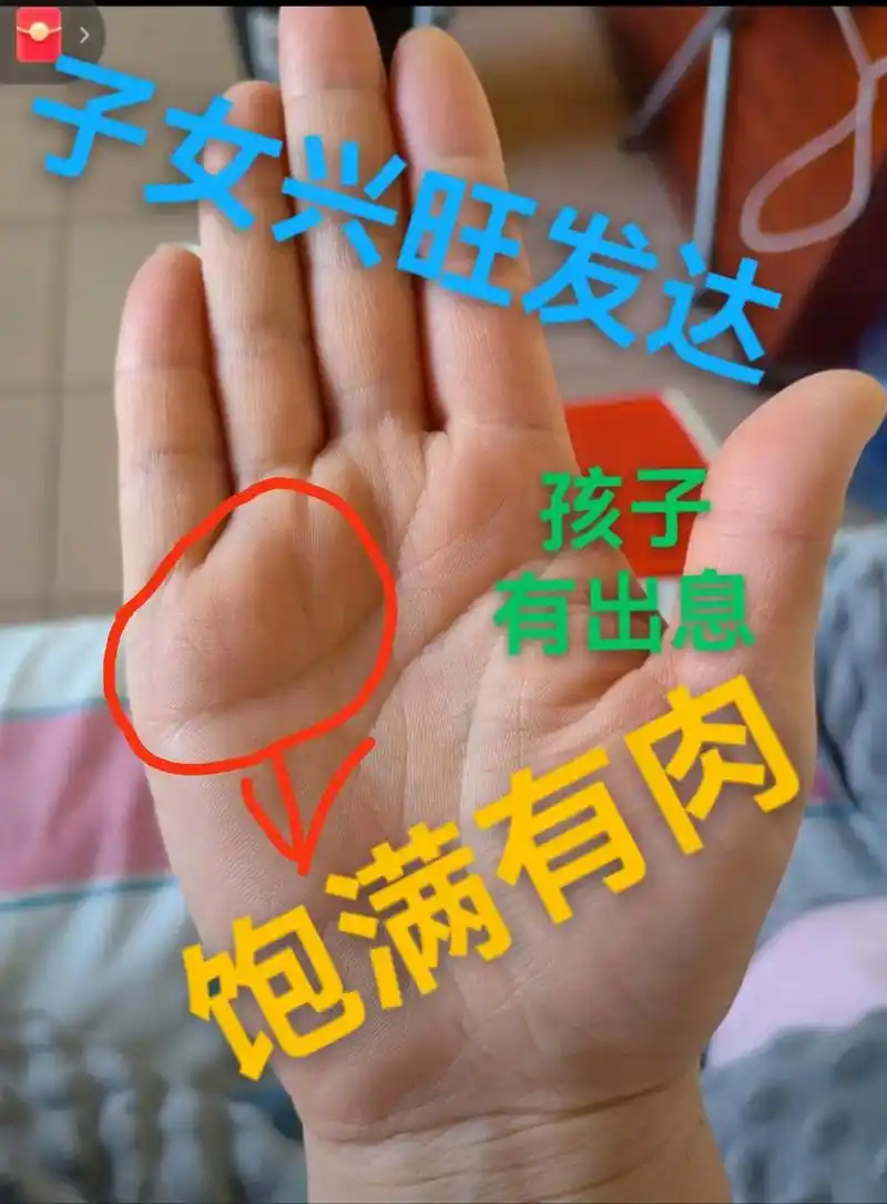 原创 #手纹 #掌纹 #旺夫女人 #爱情  小拇指下面饱满 - 抖音