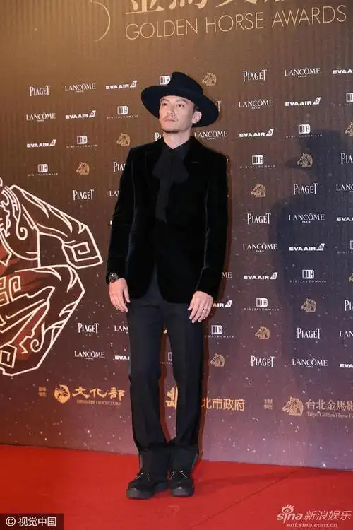 群星闪耀第53届台湾金马奖红毯