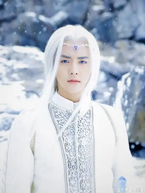 马天宇 电视剧幻城