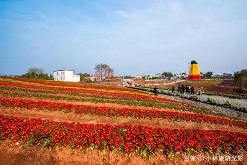 浪漫又华丽的五彩城观光花博园